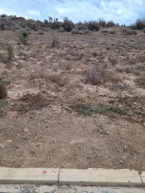 0 Bedroom Property for Sale in Saldanha Rural Western Cape